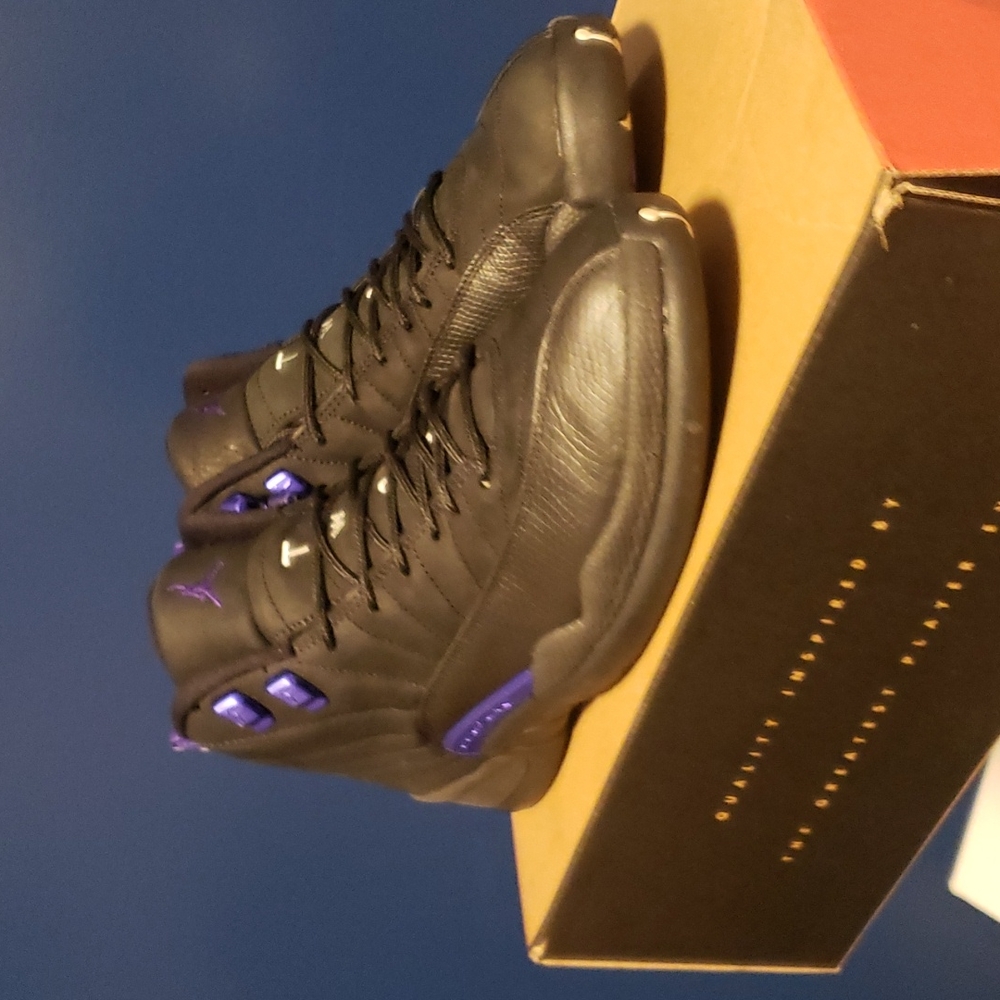 Jordan 12 retro